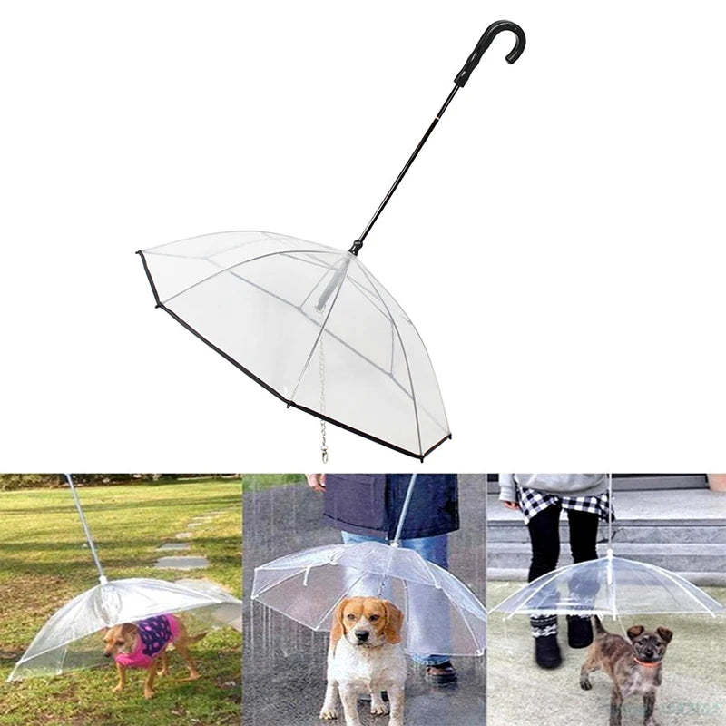 Transparent Pet Umbrella with Dog Leash