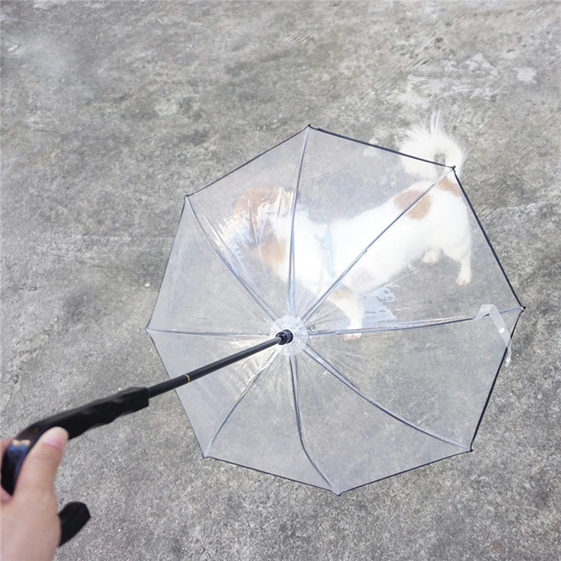Transparent Pet Umbrella with Dog Leash