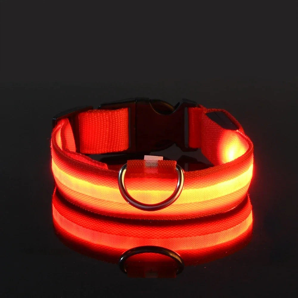 Fluorescente Nylon Dog Collar for Night Safety