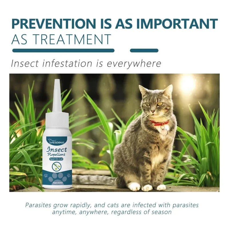 Anti Flea Tick agent for dogs and cats, cleaning agent for lice and ticks. 50ml