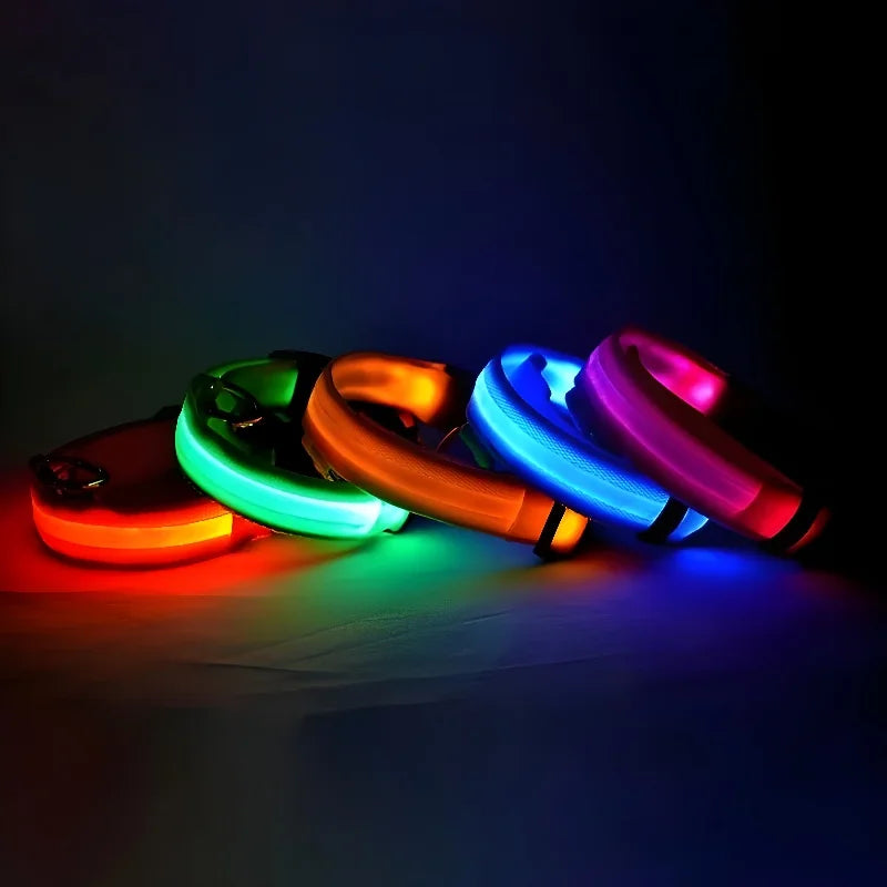 Fluorescente Nylon Dog Collar for Night Safety