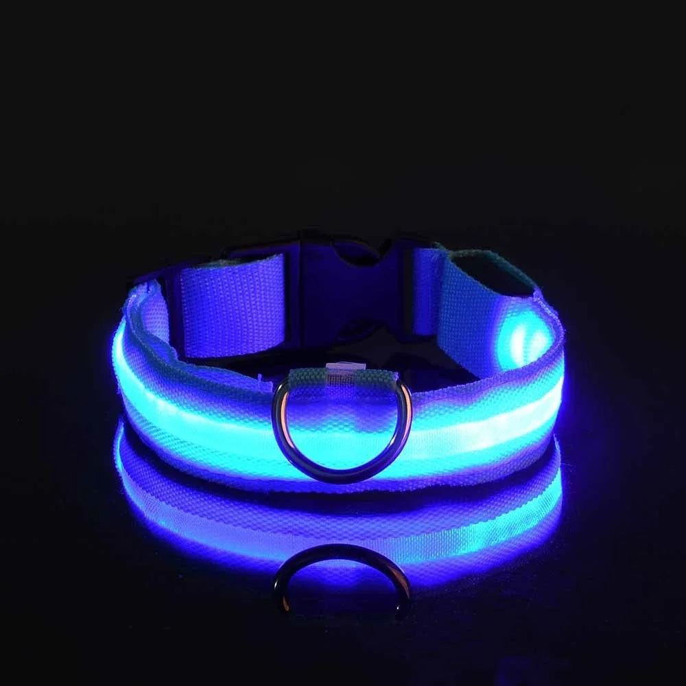 Fluorescente Nylon Dog Collar for Night Safety