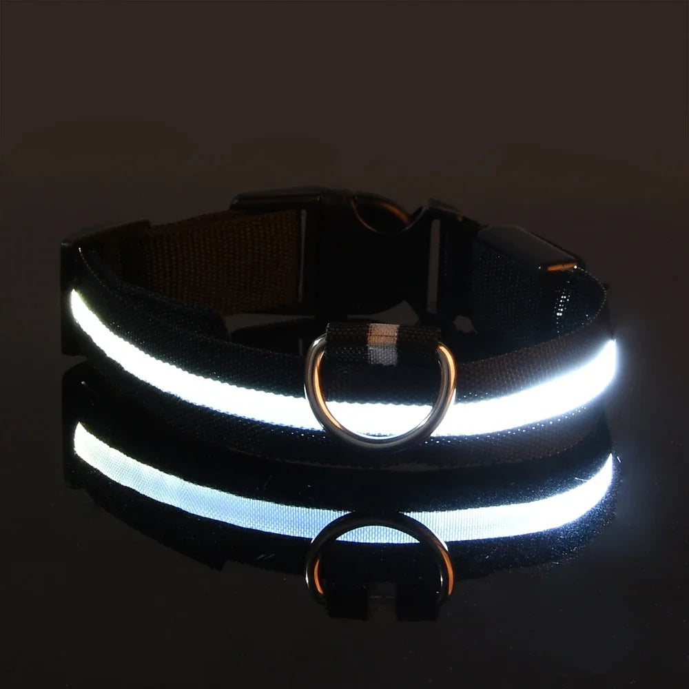 Fluorescente Nylon Dog Collar for Night Safety