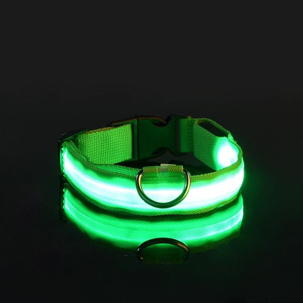 Fluorescente Nylon Dog Collar for Night Safety
