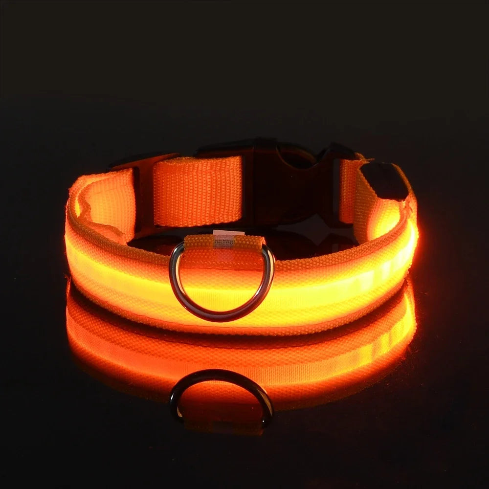 Fluorescente Nylon Dog Collar for Night Safety