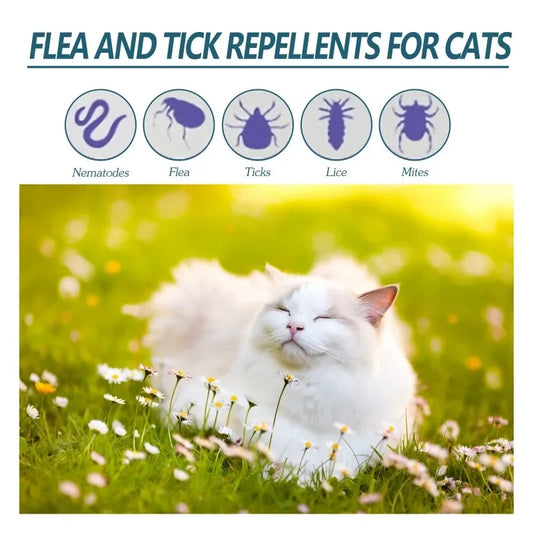 Anti Flea Tick agent for dogs and cats, cleaning agent for lice and ticks. 50ml