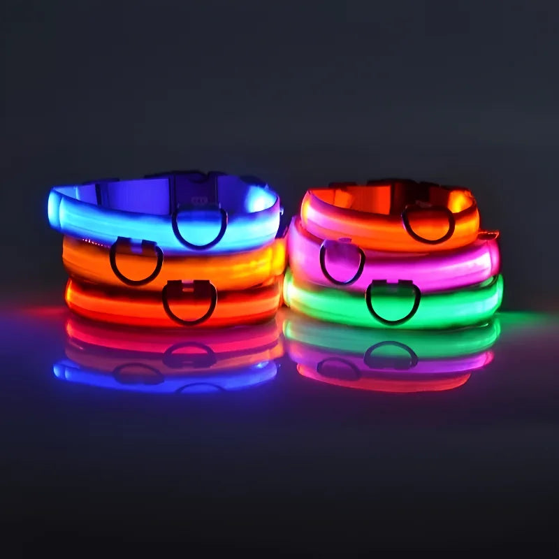 Fluorescente Nylon Dog Collar for Night Safety