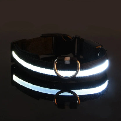 Fluorescente Nylon Dog Collar for Night Safety