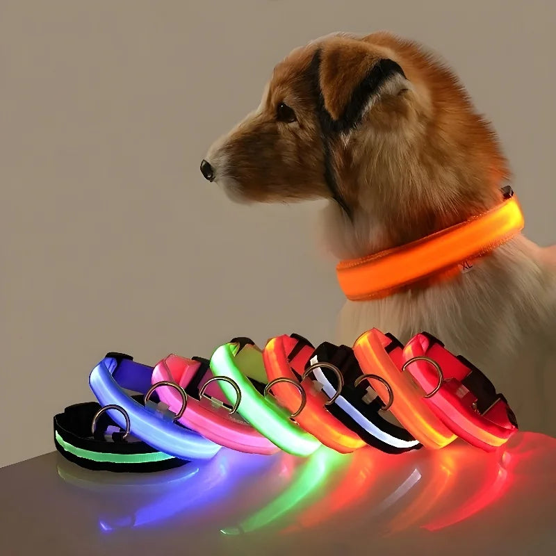 Fluorescente Nylon Dog Collar for Night Safety