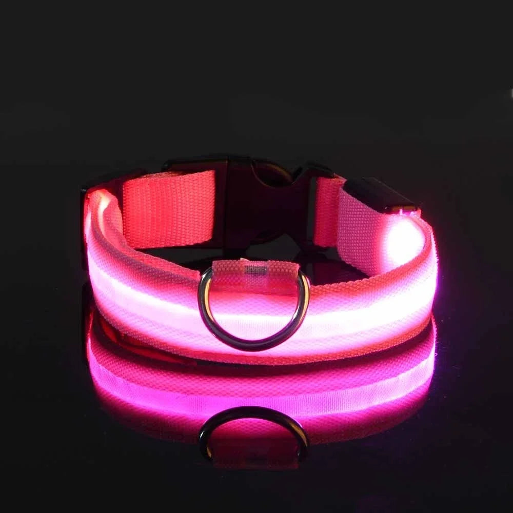 Fluorescente Nylon Dog Collar for Night Safety
