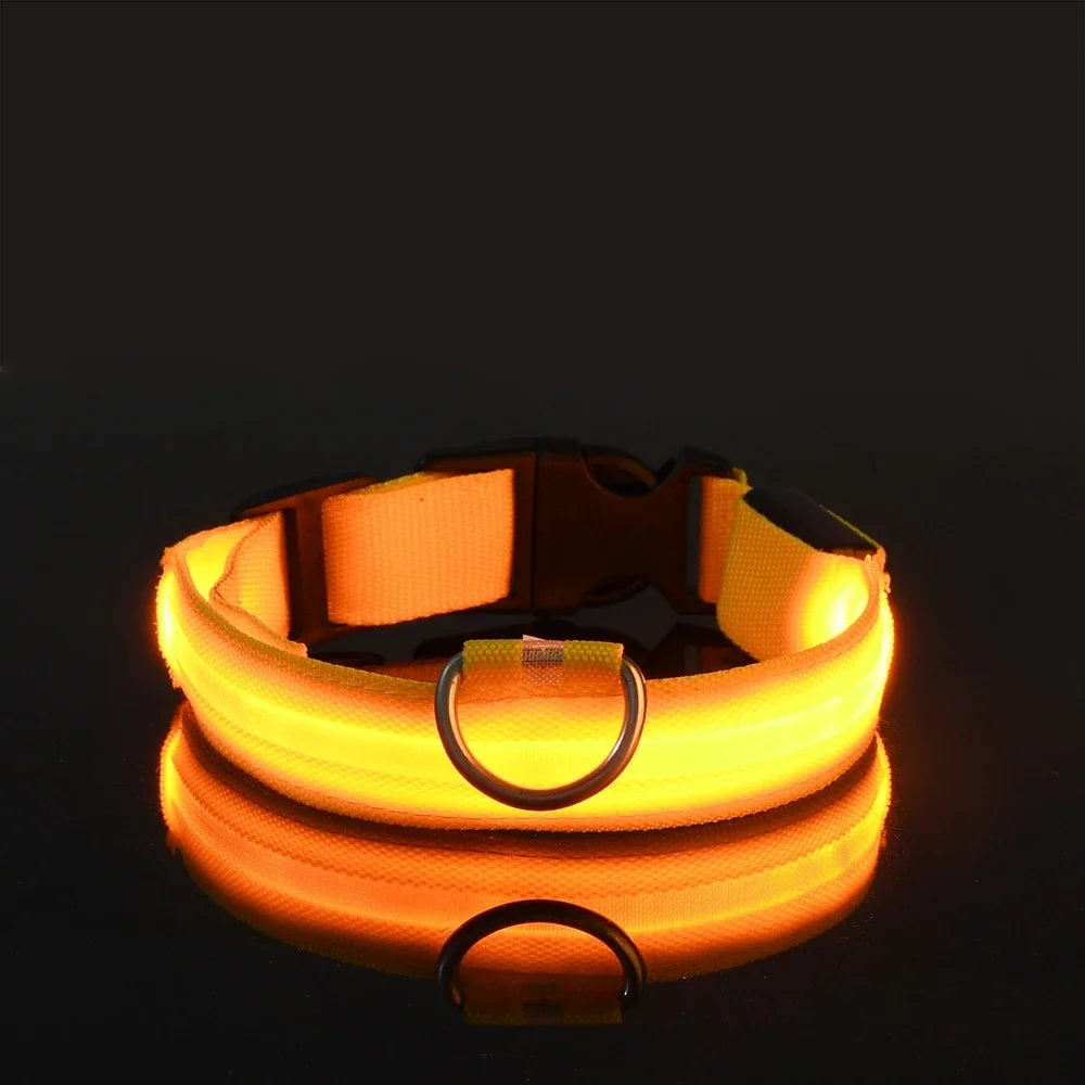 Fluorescente Nylon Dog Collar for Night Safety
